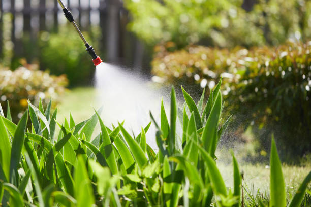 24/7 Emergency Wasp Removal experts in Villa Hills, KY